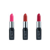 Intense Moisture Lipstick | Pack of 3